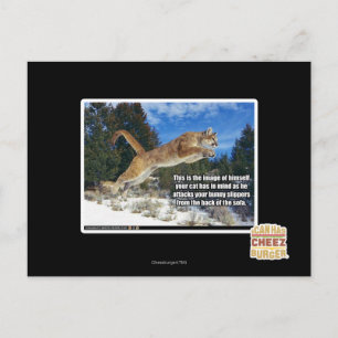 Cartão Postal Imagem de Cat