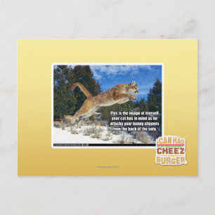Cartão Postal Imagem de Cat