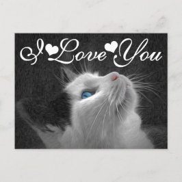 Cartão Postal Imagem de Gato de Olhos Azuis