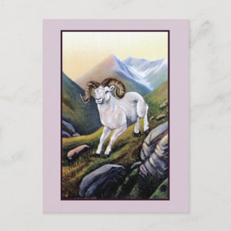 Cartão Postal Imagem de ovelhas de montanha branca Retro Alaska