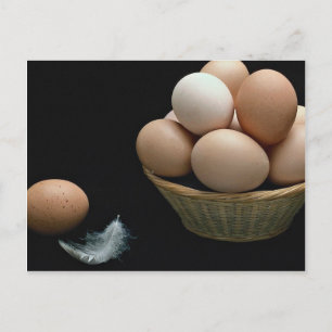Cartão Postal Imagem de ovos organizada numa tigela