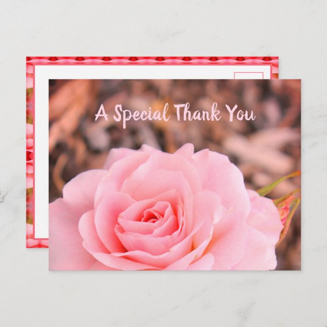 Cartão Postal Imagem de Rosa Floral (Frente/Verso)