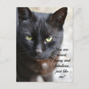 Cartão Postal Imagem do Lover de Gato Preto com Posto de Cotação