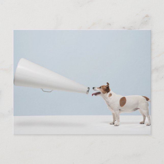 Cartão Postal Imagens Getty | Cachorro Falante (Frente)