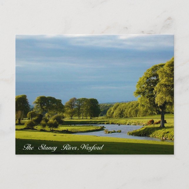 Cartão postal Imagens irlandesas (Frente)