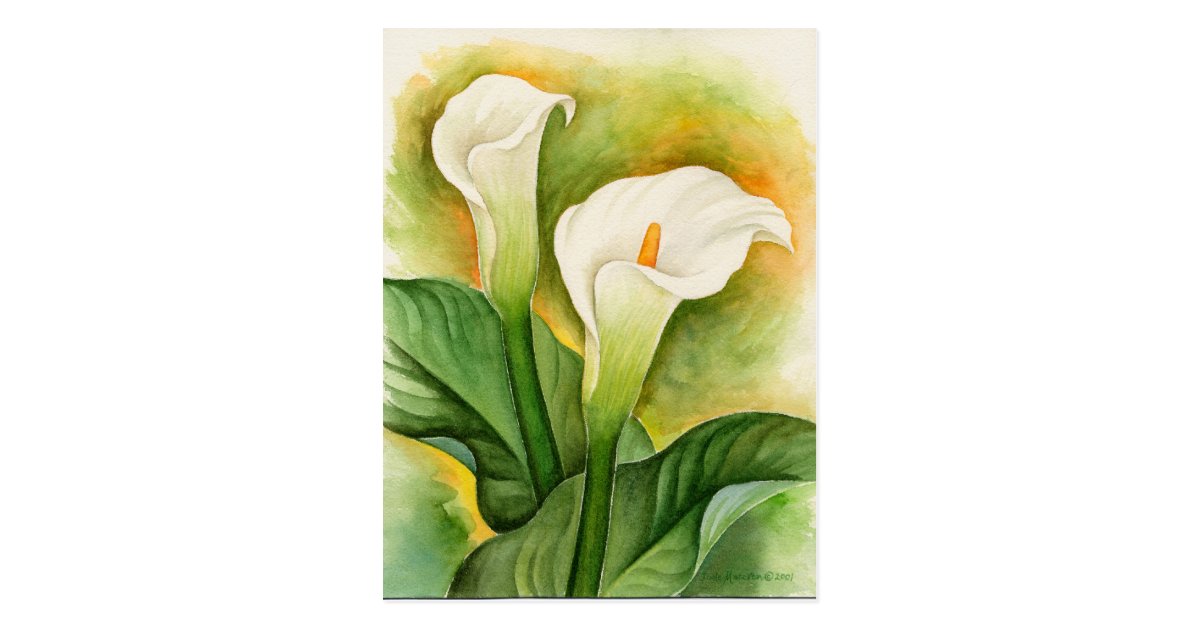 Cartao Postal Imagens Ou Imagens Da Pintura Das Flores Do Lirio Zazzle Com Br