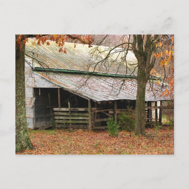 Cartão Postal Imagens rurais (Frente)