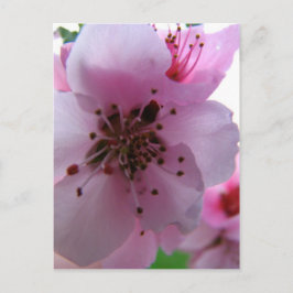 CARTÃO POSTAL IMG_0037_3