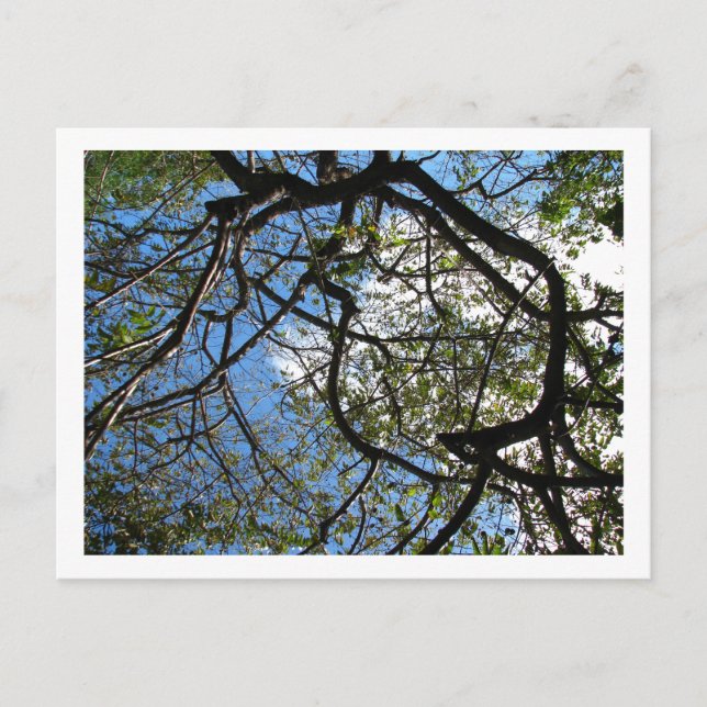 CARTÃO POSTAL IMG_0078 (Frente)