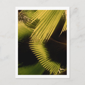 CARTÃO POSTAL IMG_0453