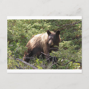 CARTÃO POSTAL IMG_1319_1