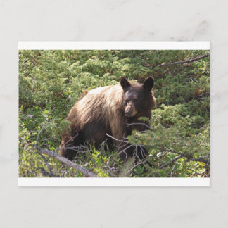 CARTÃO POSTAL IMG_1319_1