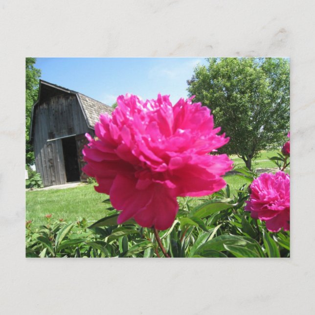 CARTÃO POSTAL IMG_1506 (Frente)