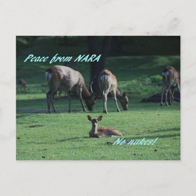 CARTÃO POSTAL IMG_1652 NARA (Frente)