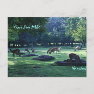 CARTÃO POSTAL IMG_1664 NARA