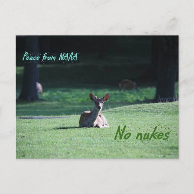 Cartão Postal IMG_1713 nara (Frente)