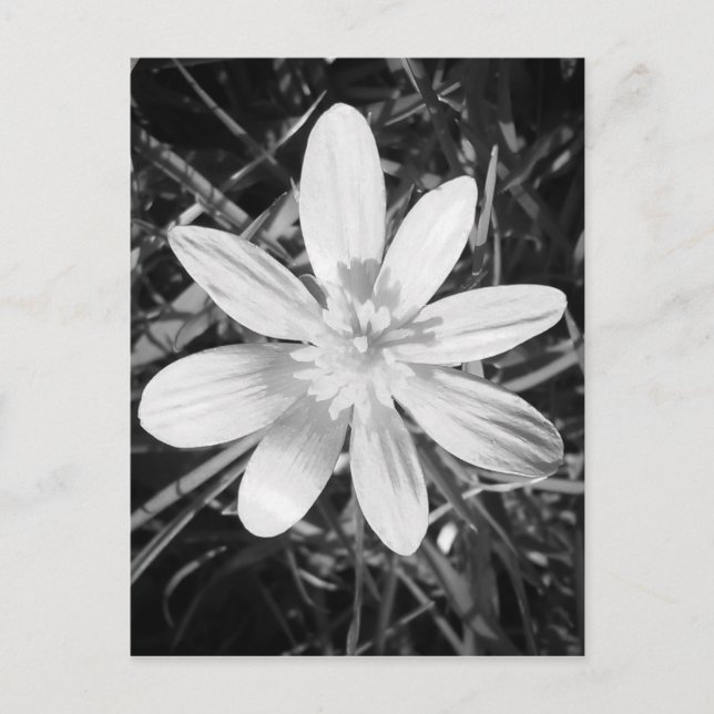 Cartão Postal IMG_20150324_210135.jpg (Frente)