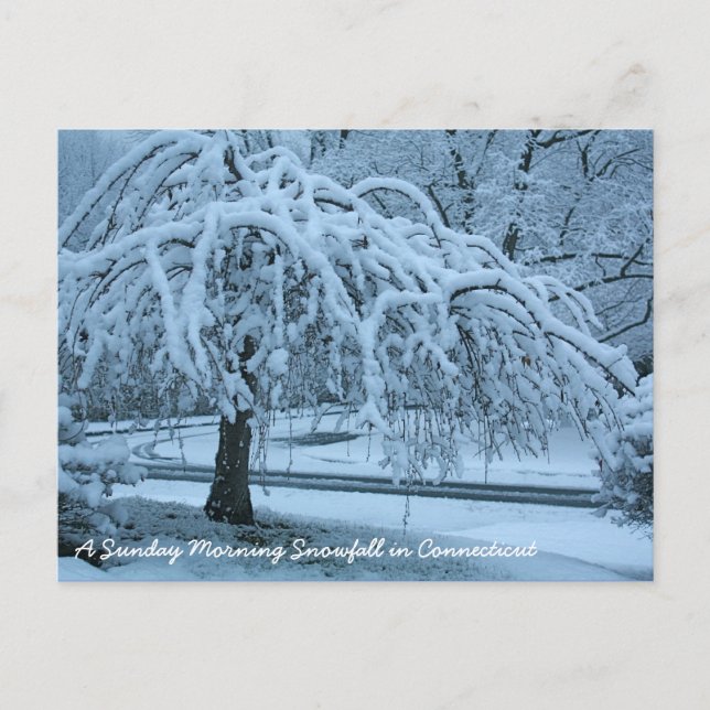 Cartão Postal IMG_2425_2, Uma Nevasca numa manhã de Domingo em C (Frente)