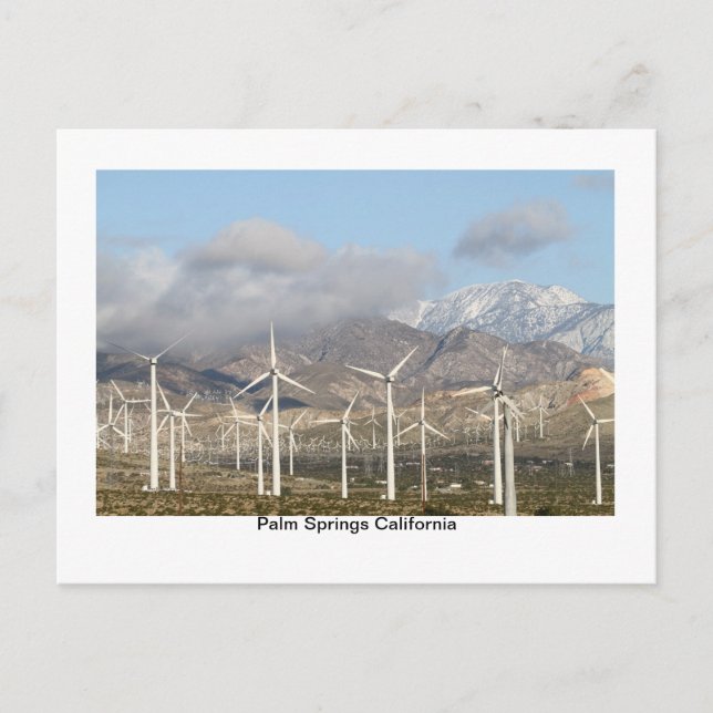 Cartão Postal IMG_2436, Palm Primavera California (Frente)