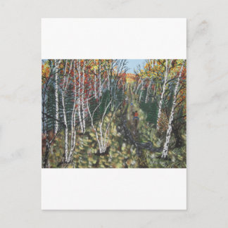 Cartão Postal IMG_2974.JPGPasseio pela Trilha White Birch