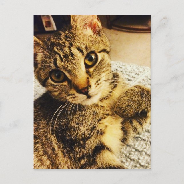 CARTÃO POSTAL IMG_3770.JPG (Frente)