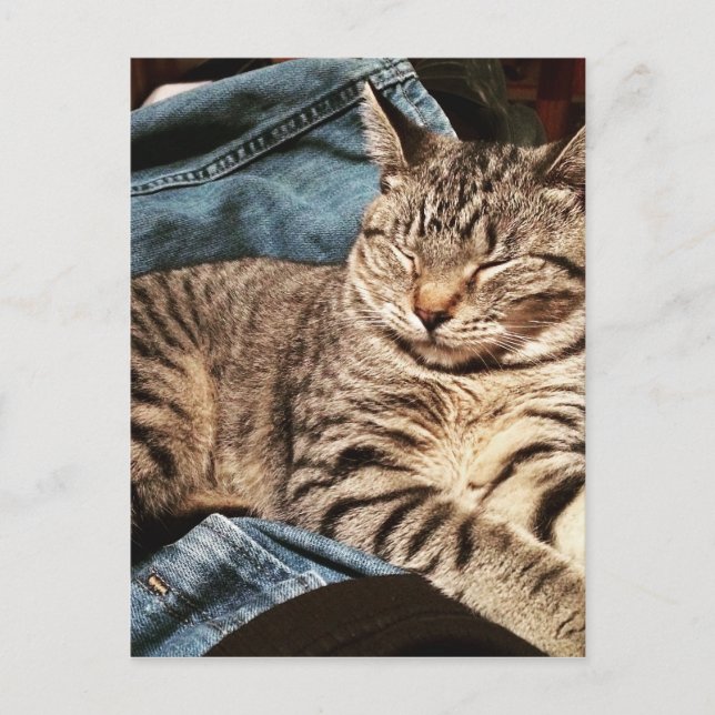 CARTÃO POSTAL IMG_3960.JPG (Frente)