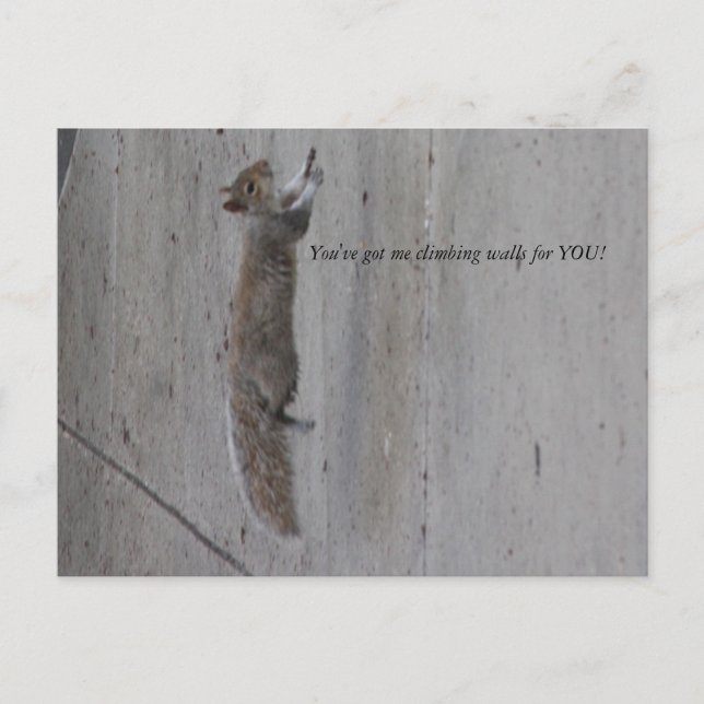 Cartão Postal IMG_3995, Você me fez escalar paredes por VOCÊ! (Frente)