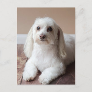 CARTÃO POSTAL IMG_4050