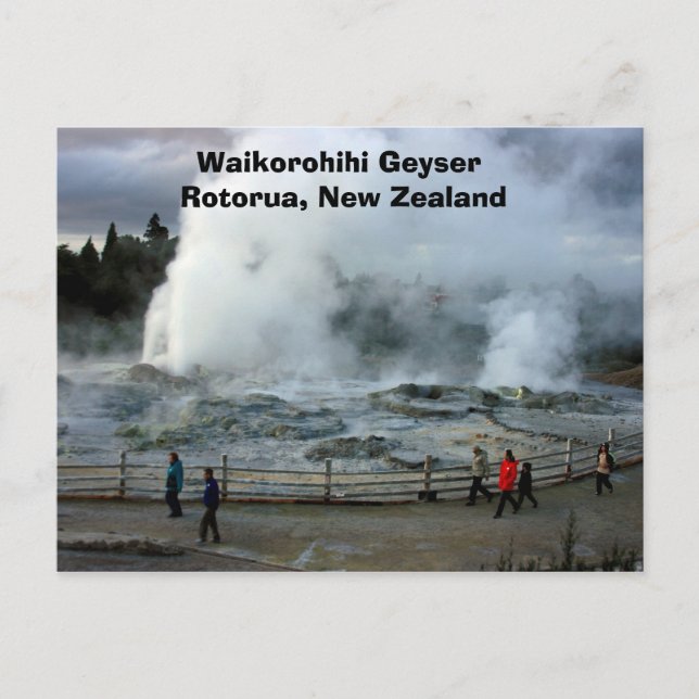 Cartão Postal IMG_4274, Waikorohihi Geyser Rotorua, Nova Zelândi (Frente)