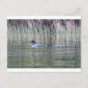 CARTÃO POSTAL IMG_8448_1