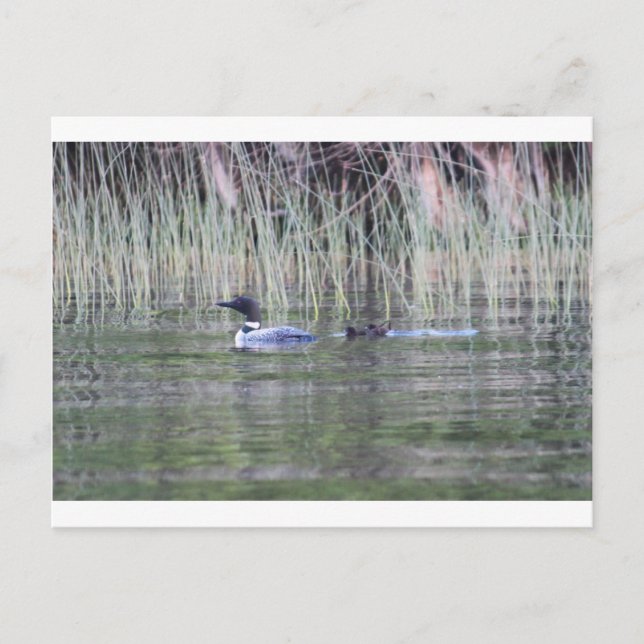 CARTÃO POSTAL IMG_8448_1 (Frente)