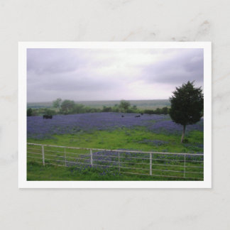 CARTÃO POSTAL IMGP4300