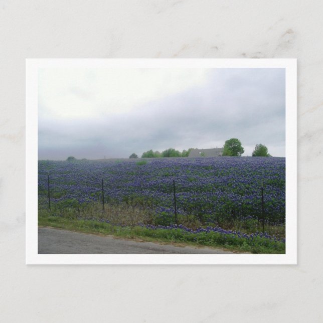 CARTÃO POSTAL IMGP4303 (Frente)