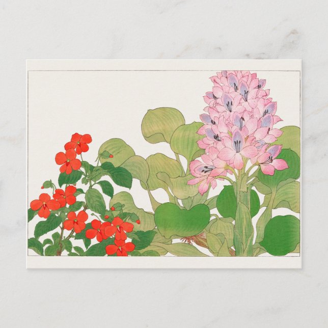Cartão Postal Impatiens, Water hyacinth por Tanigami Konan (Frente)