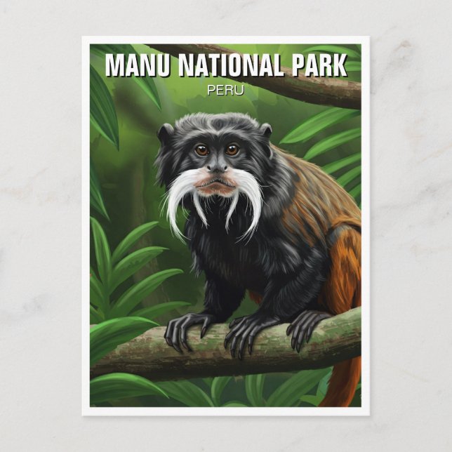 Cartão Postal Imperador Tamarin no Parque Nacional de Manu, Peru (Frente)