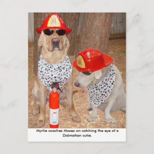 Cartão Postal Impostor