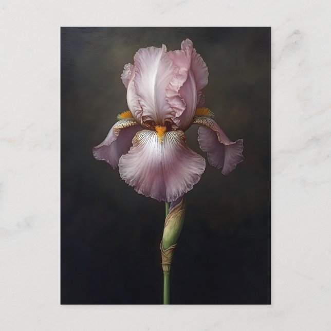 Cartão Postal Impressão Botânica Roxa Iris (Frente)