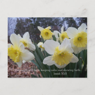 Cartão Postal Impressão Daffodil com Isaiah 30:15