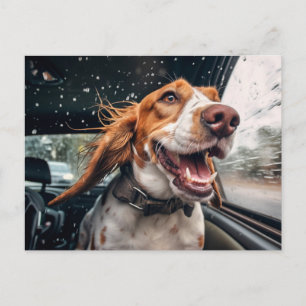 Cartão Postal Impressão de Arte de Cachorro Animado em Carro Chu