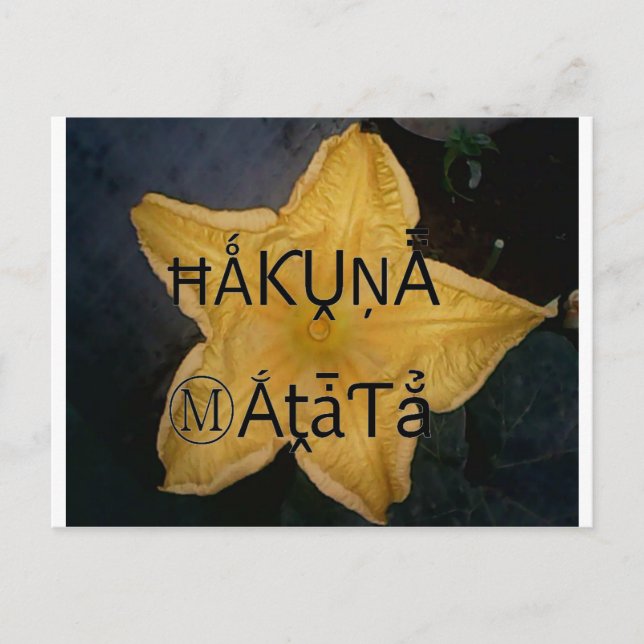 Cartão Postal Impressão de Arte do Ouro Star Hakuna Matata (Frente)