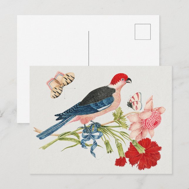 Cartão Postal Impressão de Arte Floral Borboleta Pássaro Rosa Vi (Frente/Verso)