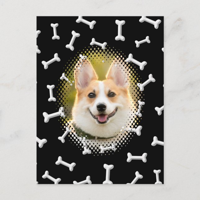 Cartão Postal Impressão de Frame de Cão Padrão Ósseo (Frente)