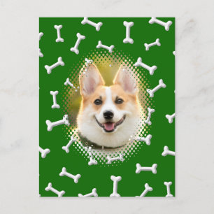 Cartão Postal Impressão de Frame de Cão Padrão Ósseo