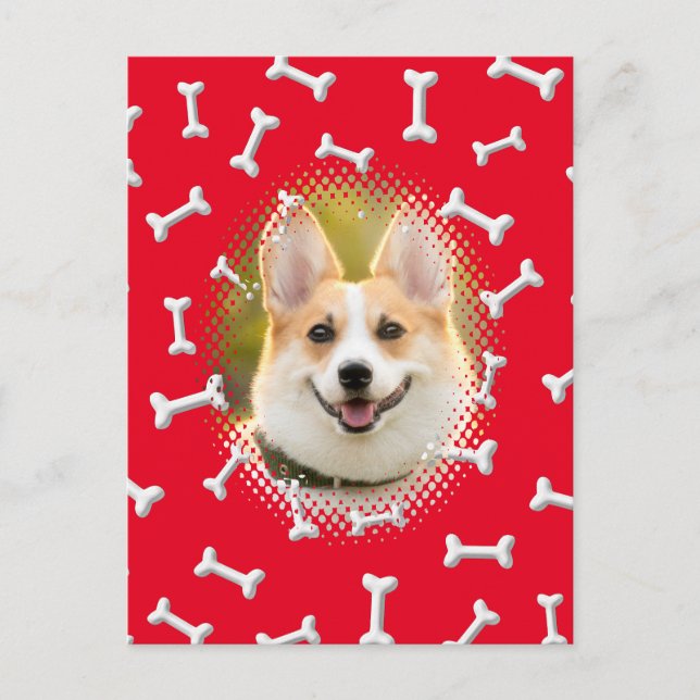 Cartão Postal Impressão de Frame de Cão Padrão Ósseo (Frente)