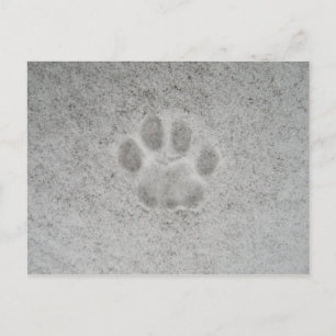 Cartão Postal Impressão de pata de gatinho no Cartão-postal de