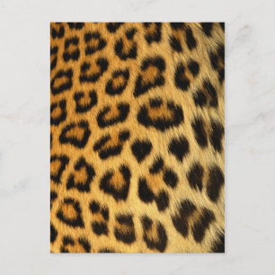 Cartão Postal Impressão de peles de leopardo