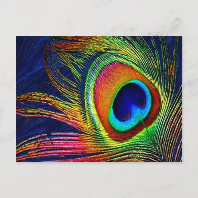 Cartão Postal Impressão de Pena de Pavão Colorida (Frente)