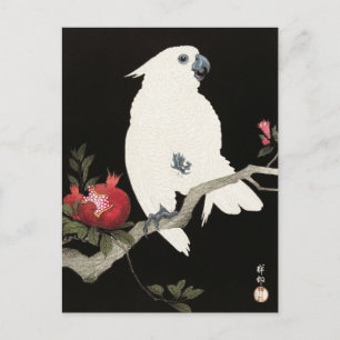Cartão Postal Impressão de um papagaio de madeira desenhado por