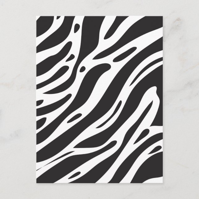 Cartão Postal Impressão de zebra (Frente)