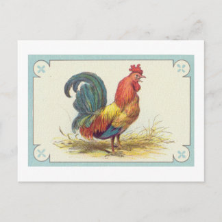 Cartão Postal Impressão do Vintage Rooster